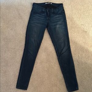 J Brand Blue Skinny Jeans with Tapered Leg